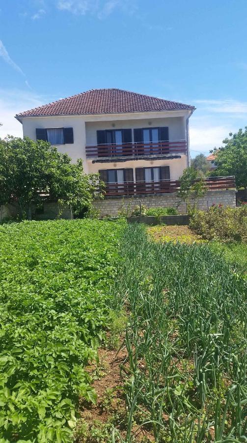 Apartment Pasman 1 Zewnętrze zdjęcie